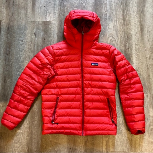 Patagonia Other - Patagonia Down Sweater Hoody